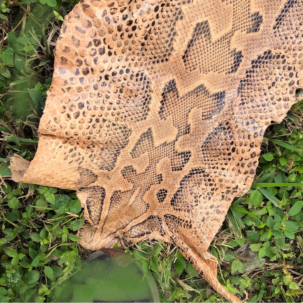 Snake Pelt Hide